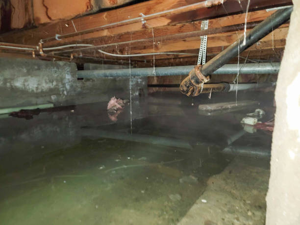  West Fargo, ND Water damage restoration Pros