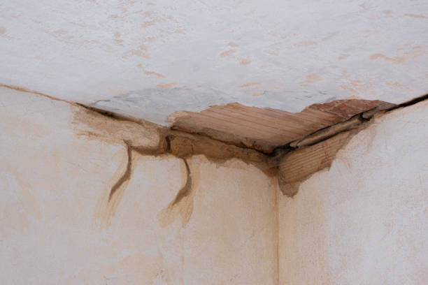 Best 24/7 water damage repair  in West Fargo, ND