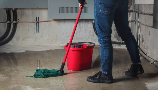 Best Water damage restoration near me  in West Fargo, ND