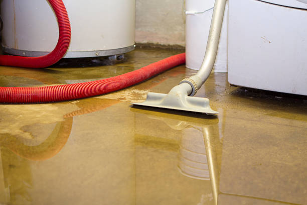 Water damage restoration experts in ND