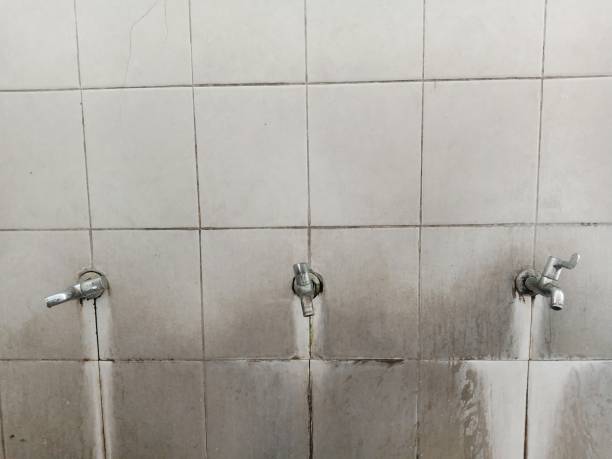 Best Professional water damage repair  in West Fargo, ND